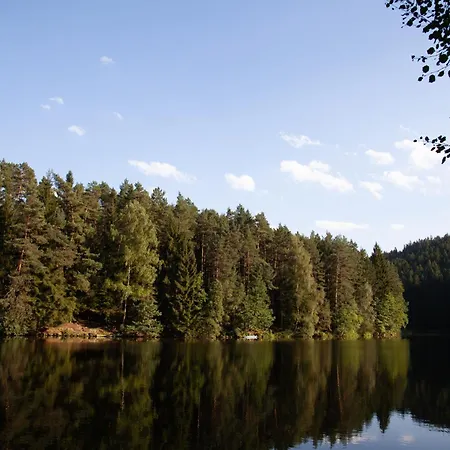 Temechov Appartamento Želiv