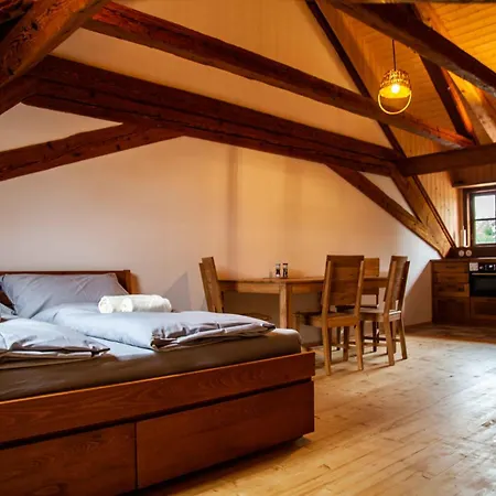 Appartement Temechov *